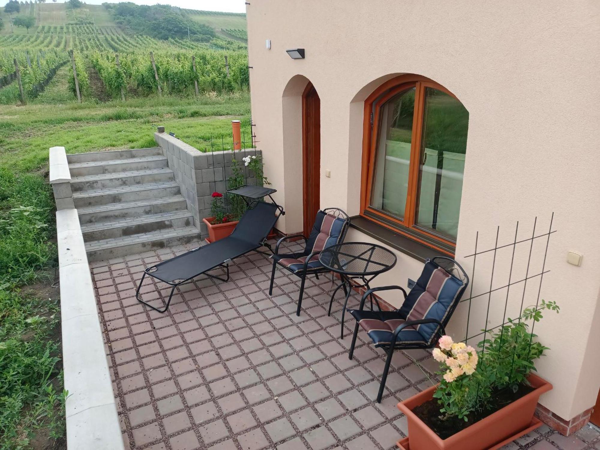 Sklep Vino Strycek Guest House Velke Bilovice Bagian luar foto
