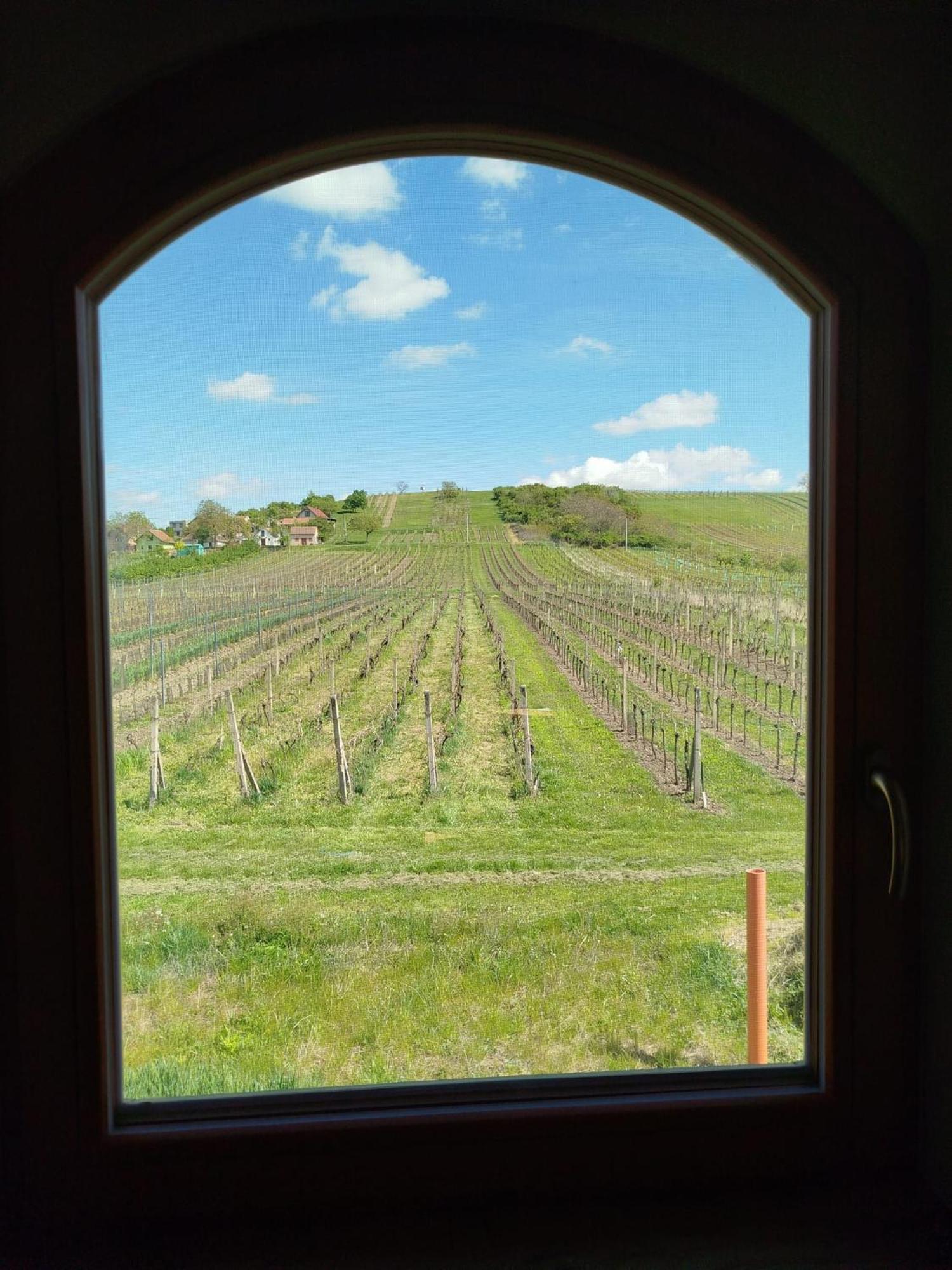 Sklep Vino Strycek Guest House Velke Bilovice Bagian luar foto